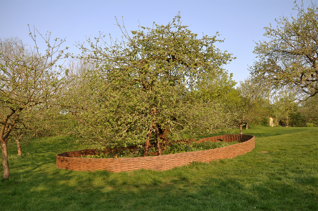 Isaac Newton Tree